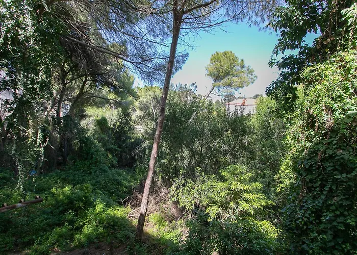 Carmel Boutique Apartments - Urban Forest