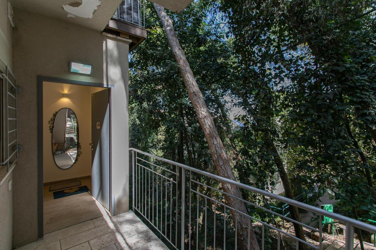 Carmel Boutique - Urban Forest