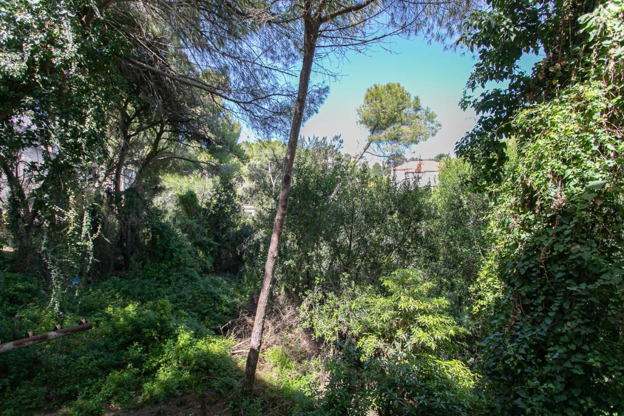 Carmel Boutique - Urban Forest * Haïfa